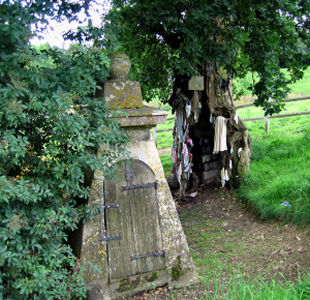 arbre à loques