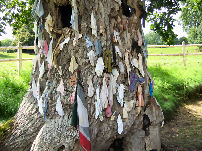 Arbre à loques