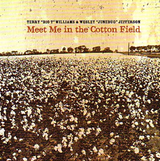 cottonfield