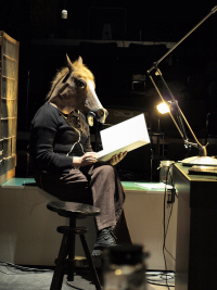 SMATCH - Photo de Raoul Lhermitte cheval