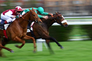course