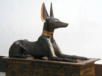 Dieu Anubis