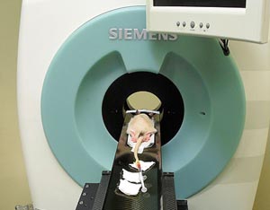 petscan