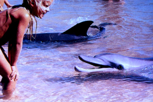 1- Fillette et dauphins