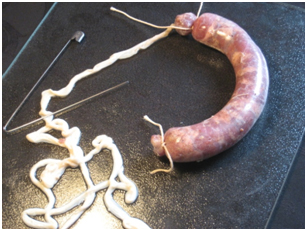saucisse6