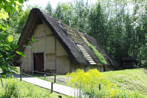 2.Darion