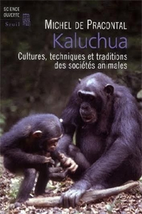 kaluchua