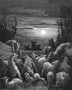 loups