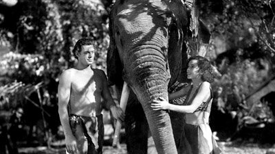 13-tarzan-and-his-mate-original