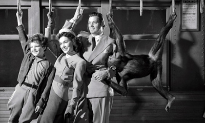 18-tarzan-new-york