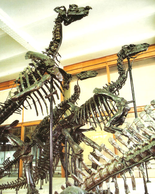 iguanodon