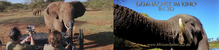 africansafari
