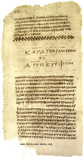 codex copte-b500
