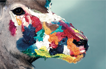 MuMoMaurizio Cattelan