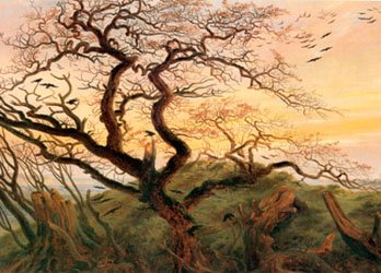 friedrich