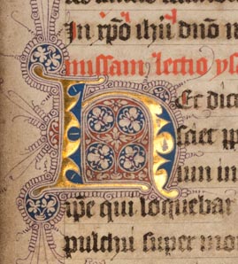 Ms0035-030