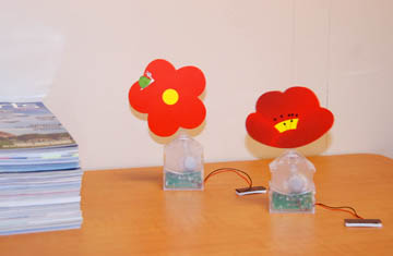 2fleurs