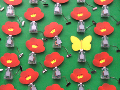 coquelicots