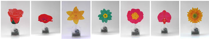 fleurs
