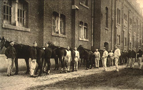 Fonck chevaux attachés1900