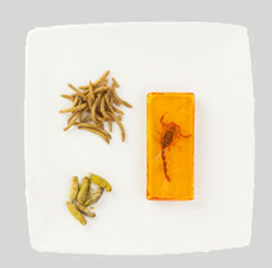 assiette