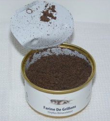 farine de grillons