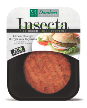 insecta
