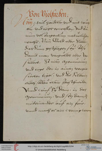 CodexPG139v