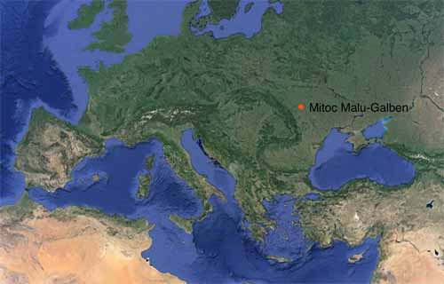 Mitoc