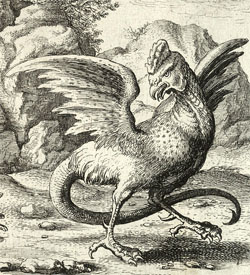 basilic- Hollar