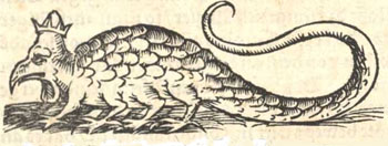 basilic1544