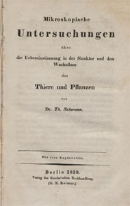 Schwann2