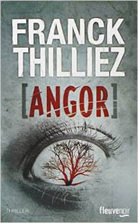 Thilliez1