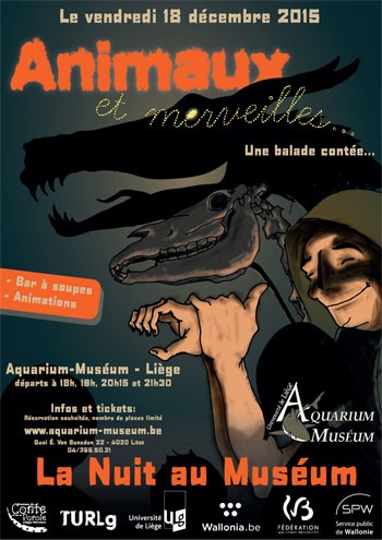 nuit au museum