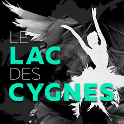 lac des cygnes